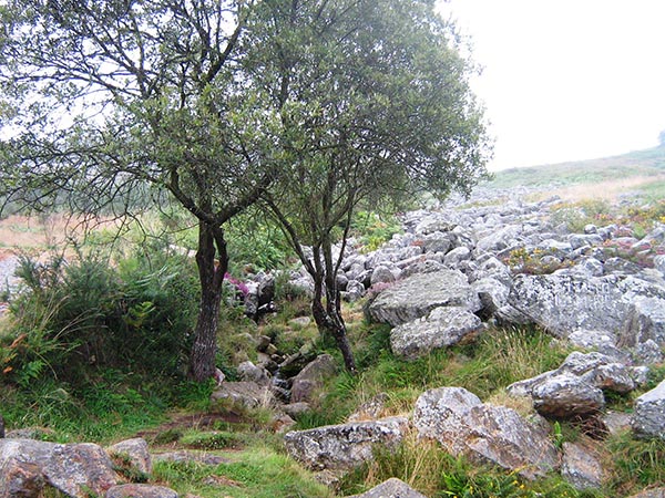 Fina Roca, Pedregal de Irimia. Agosto 2011 001.jpg